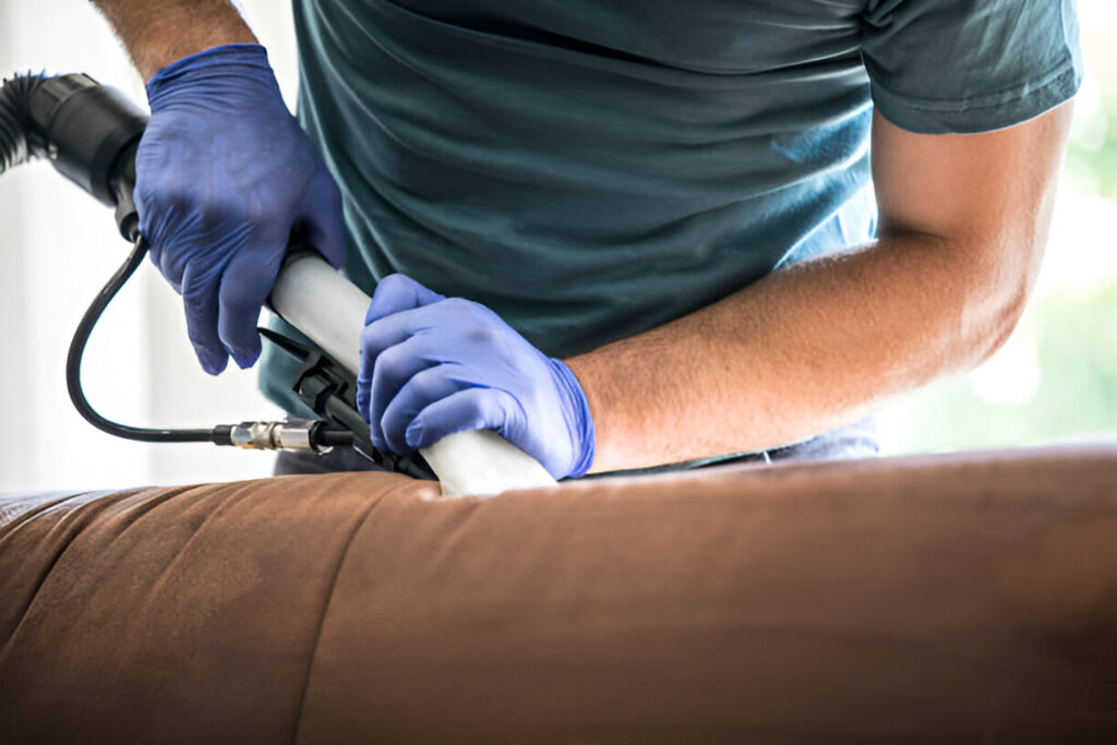 sofa cleaning service